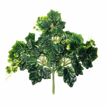 Daun Anggur Super