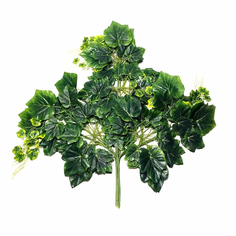Daun Anggur Super