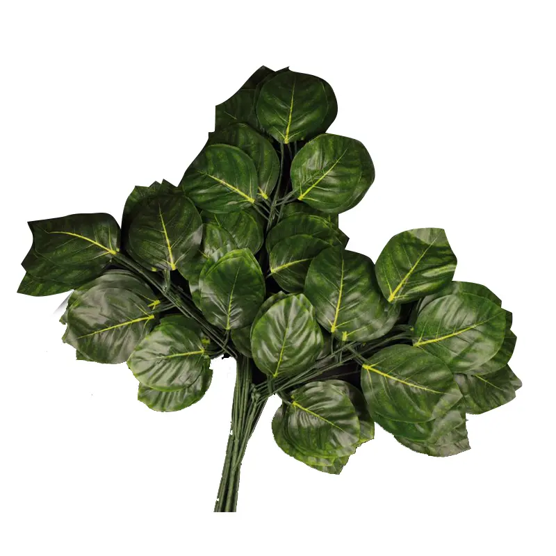 Daun Nangka Hijau