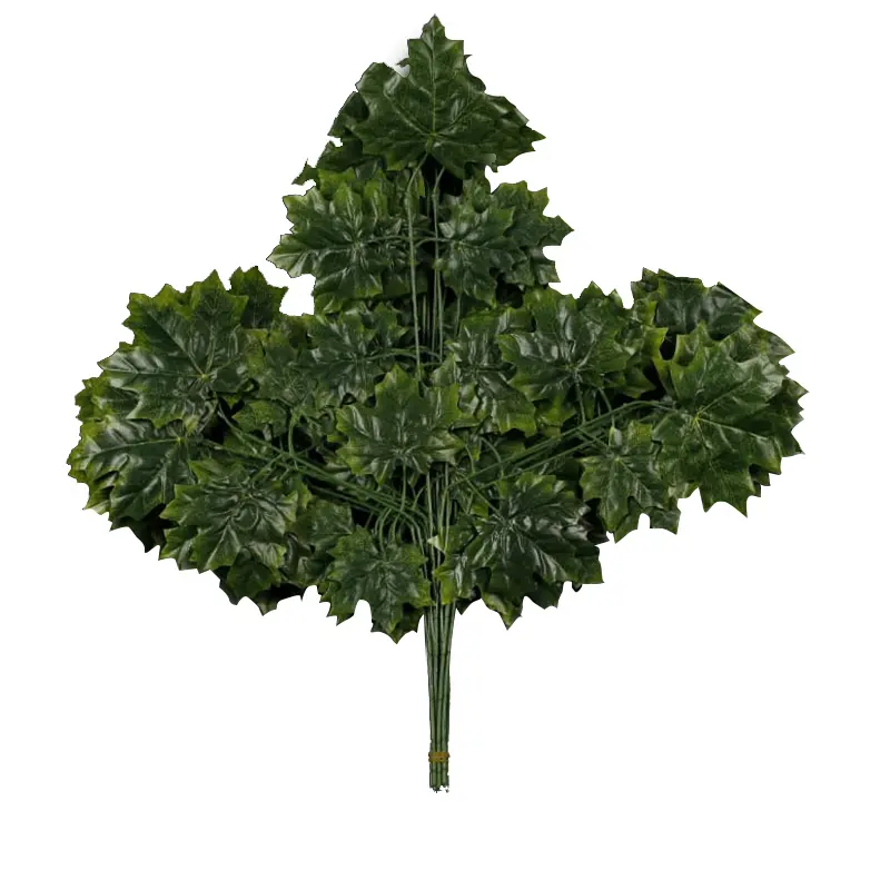 Daun Maple Hijau