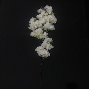 Cherry Blossom Putih Berdaun