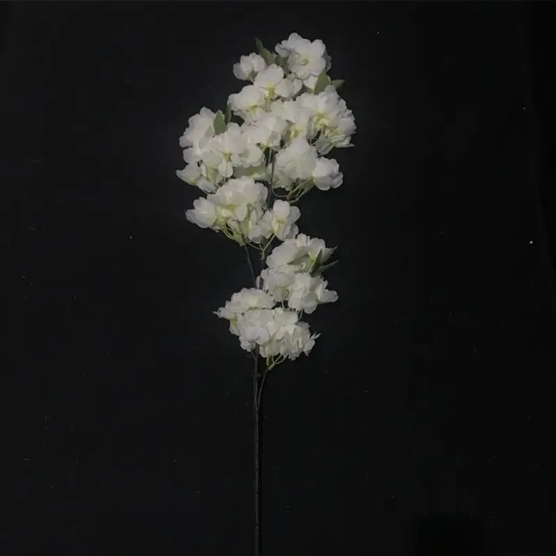 Cherry Blossom Putih Berdaun