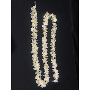 Wisteria Single Kuning Soft 2M
