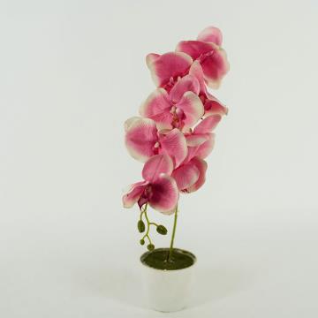 Anggrek Bulan Kain Pink