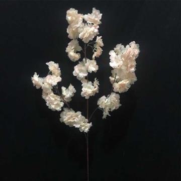 Cherry Blossom Peach G1