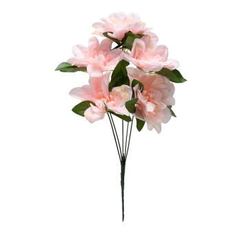 Dahlia Pink Soft K5