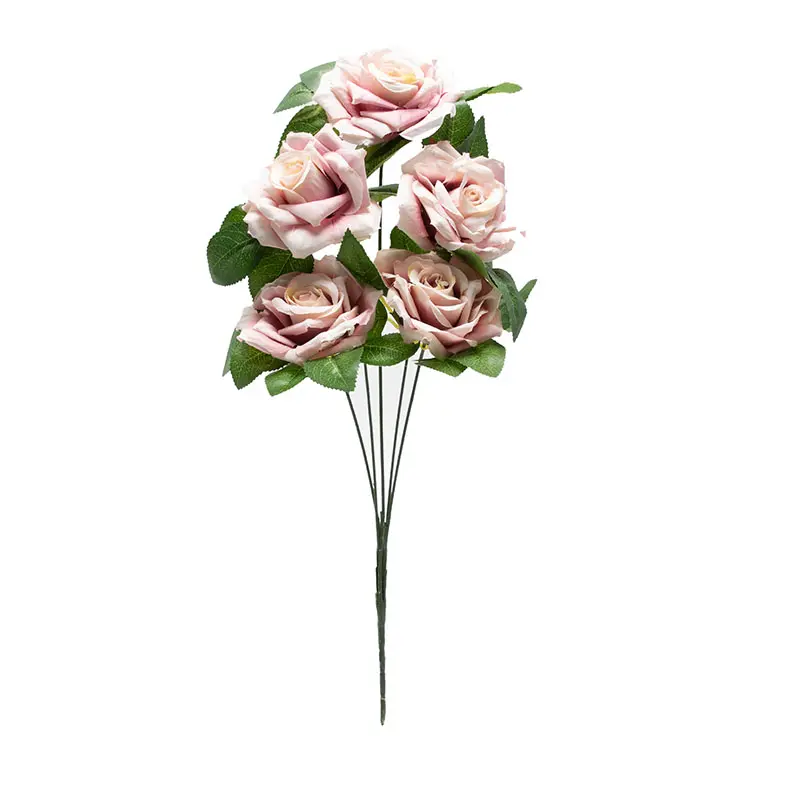 Real Rose Premium - Pink Peach