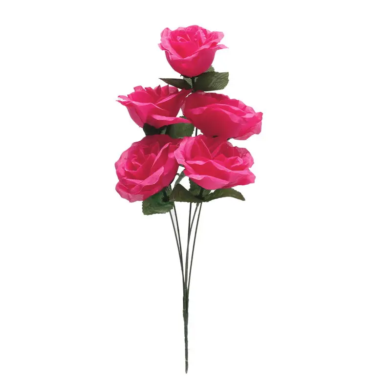 Rose MAK Fusia K5