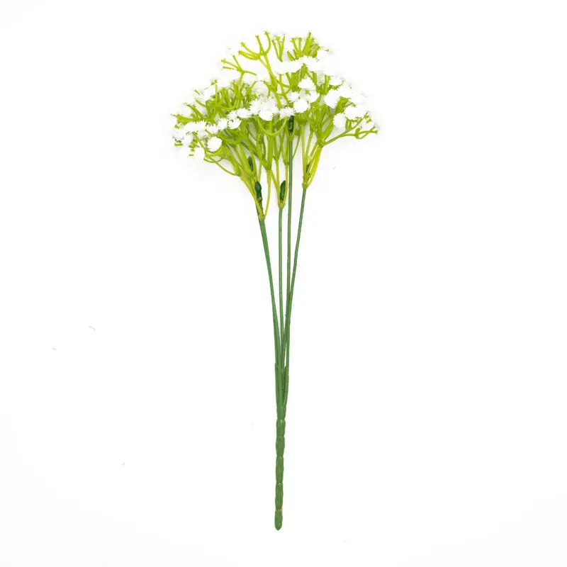 Babys Breath Putih