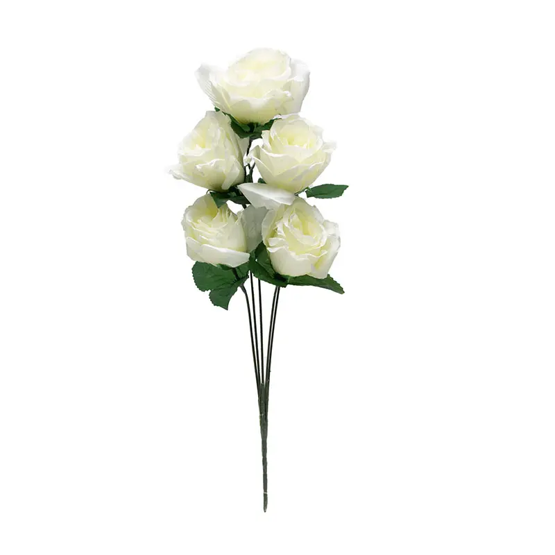 Tea Rose Putih K5