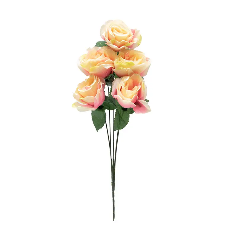 Tea Rose Pink Peach K5