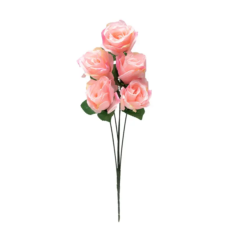 Tea Rose Pink Soft K5