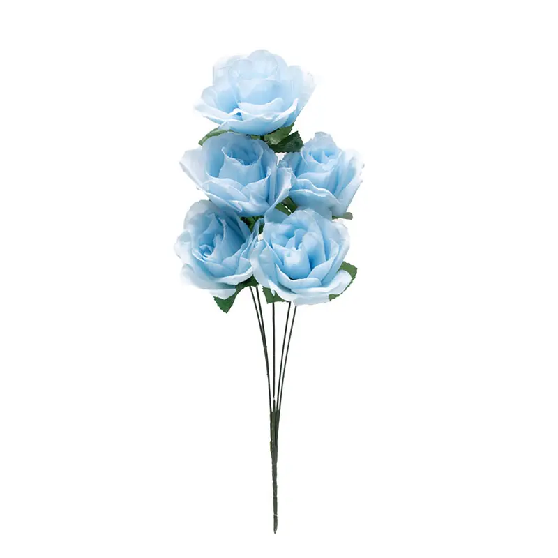 Tea Rose Biru K5