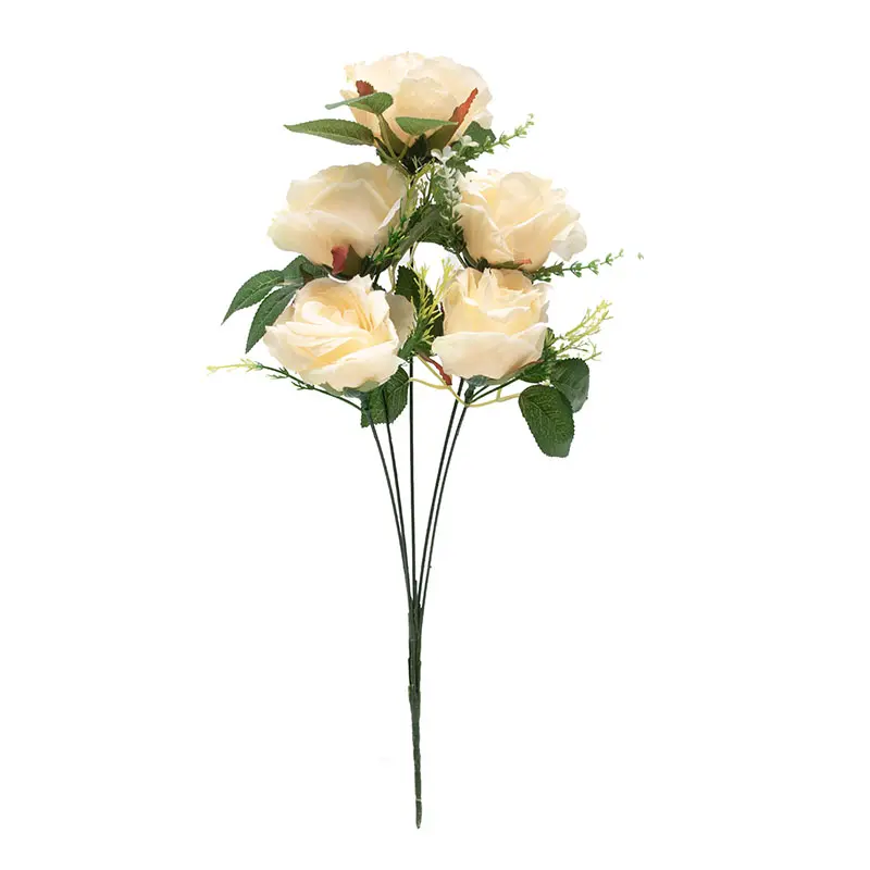 Boston Rose Peach K5