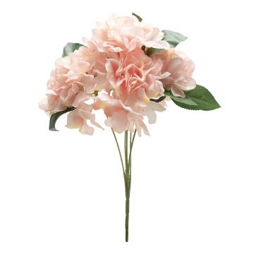 Hortensia Peach Tua K5