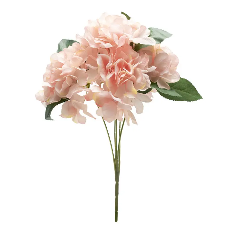 Hortensia Peach Tua K5