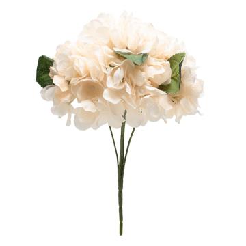 Hortensia Peach Muda K5