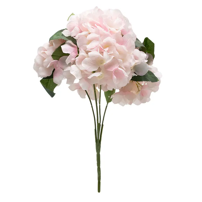 Hortensia Pink Soft K5