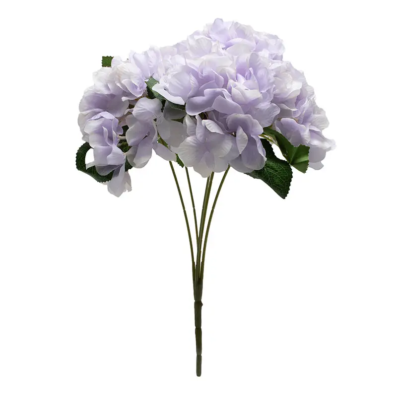 Hortensia Ungu K5