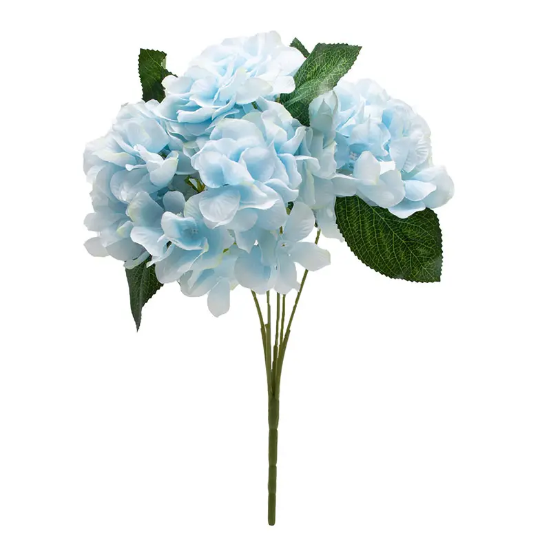 Hortensia Biru K5