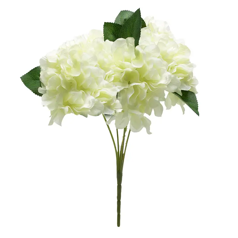 Hortensia Limegreen K5