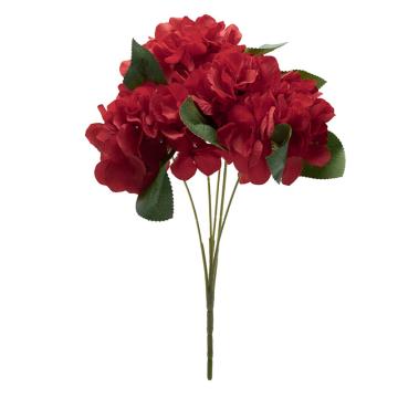 Hortensia Merah K5