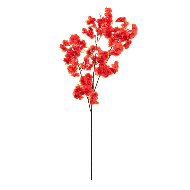 Cherry Blossom Merah G1