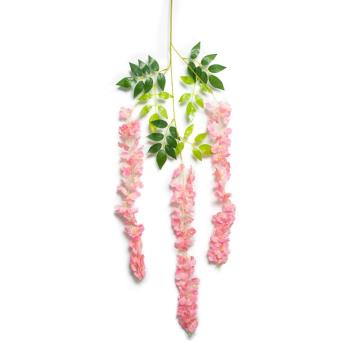 Wisteria Panjang Pink K3