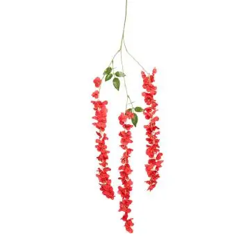 Wisteria Panjang Merah K3