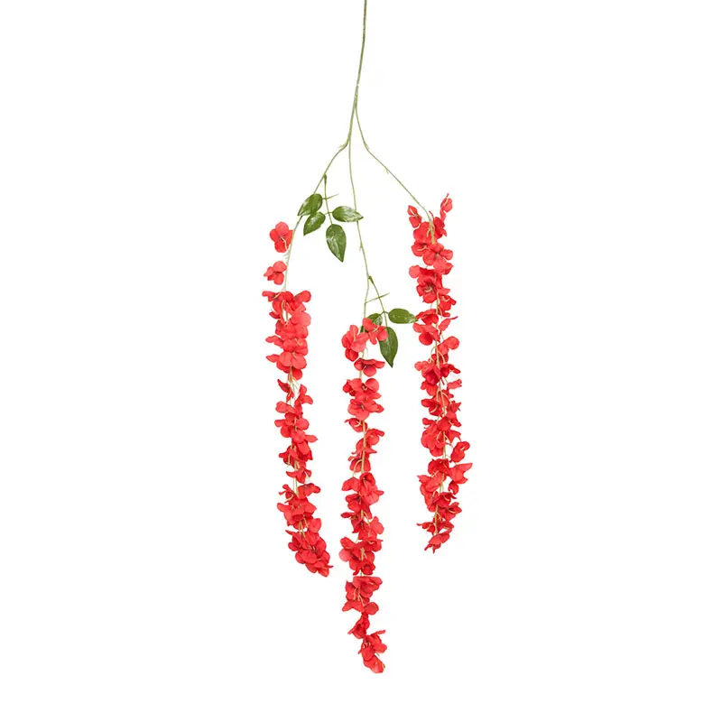 Wisteria Panjang Merah K3
