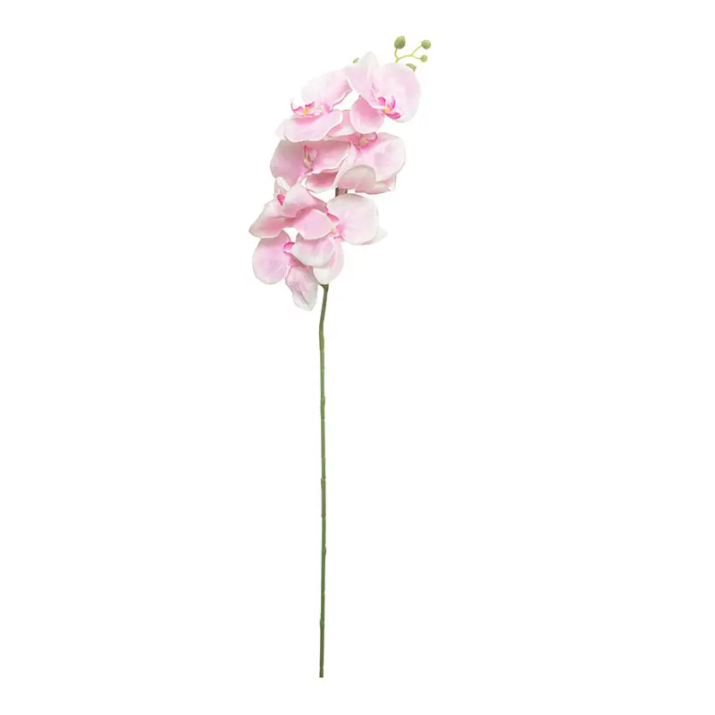 Anggrek Bulan Kain pink Soft