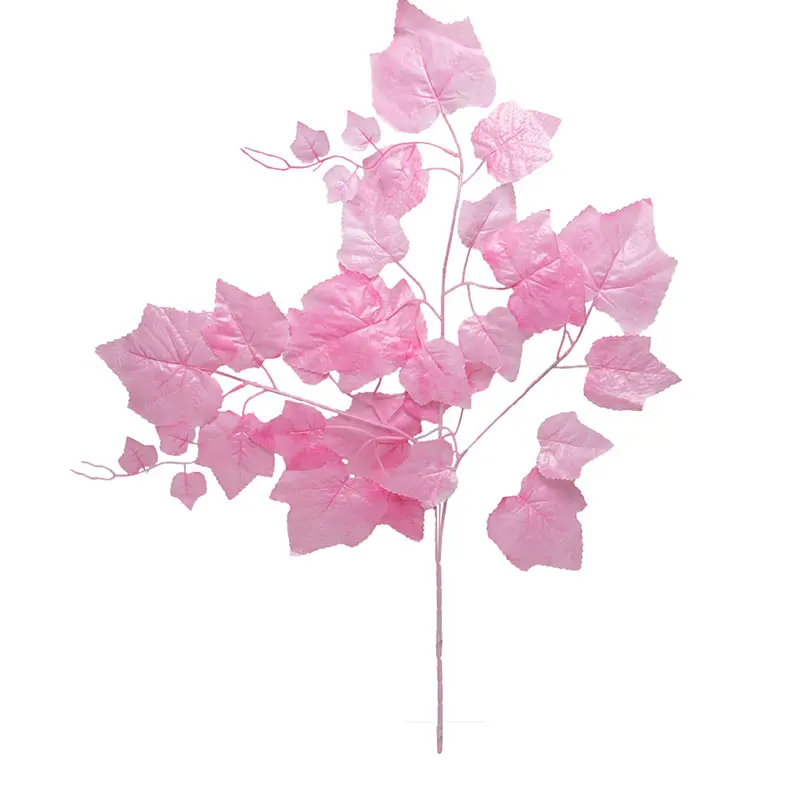 Daun Anggur Pink