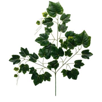 Daun Anggur Hijau Tua