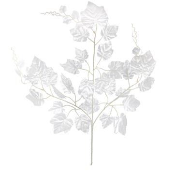Daun Anggur Putih NP