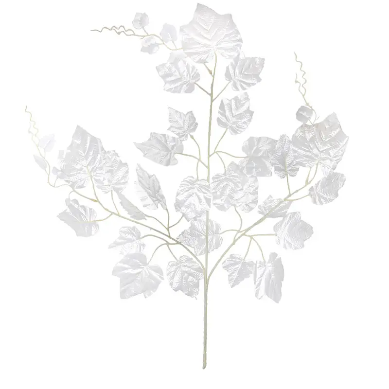 Daun Anggur Putih NP