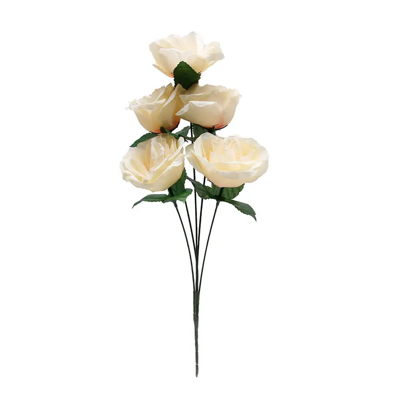 Rose MAK Salem K5