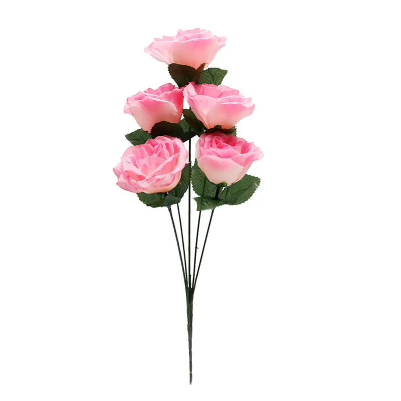 Rose MAK Pink K5
