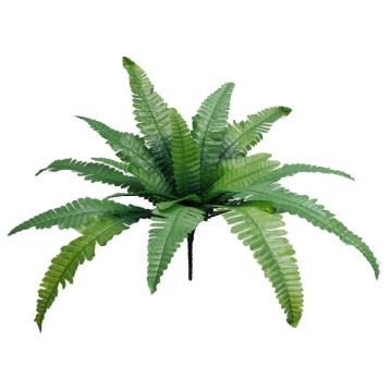 Daun Pakis Pendek