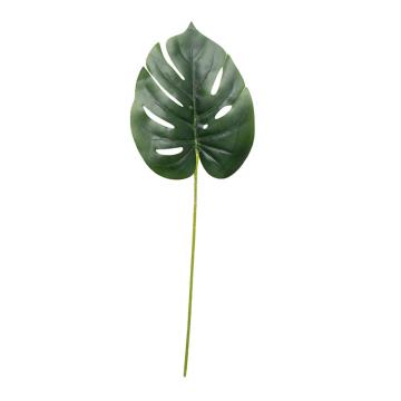 Daun Monstera Kecil