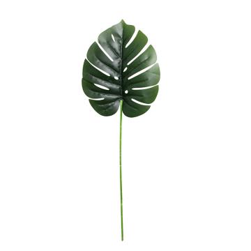 Daun Monstera Sedang