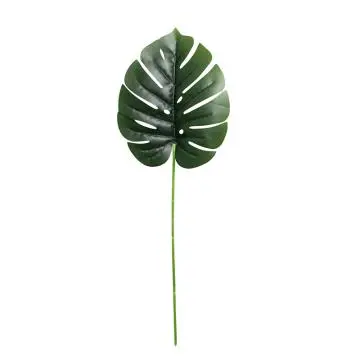Daun Monstera Sedang
