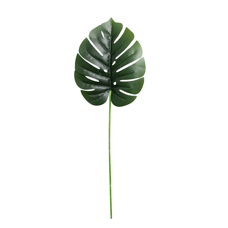 Daun Monstera Sedang