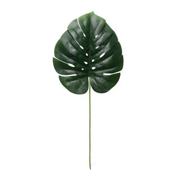 Daun Monstera Besar