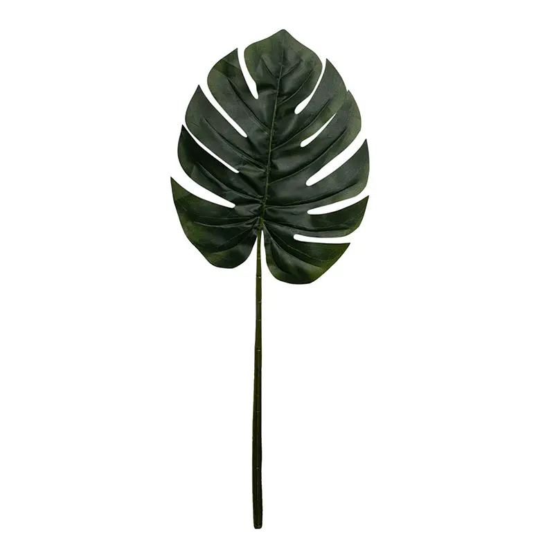 Daun Monstera Jumbo