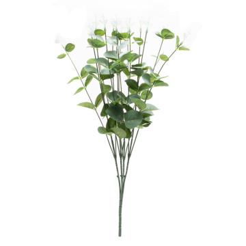 Daun Silver Dollar K16