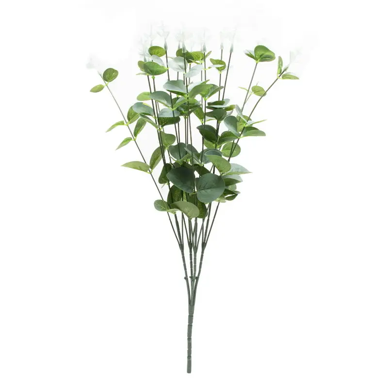 Daun Silver Dollar K16