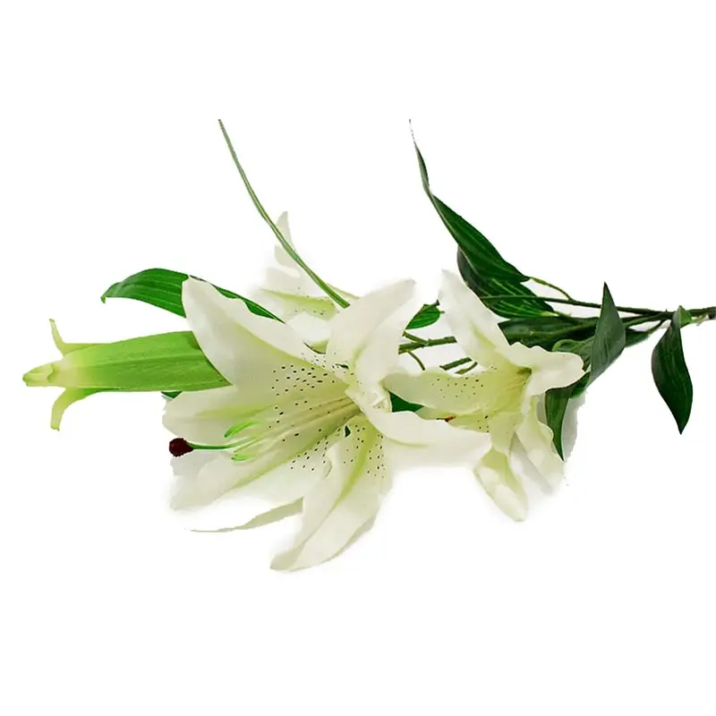 Tiger Lily Kain Putih