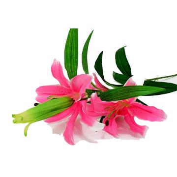 Tiger Lily Kain Pink
