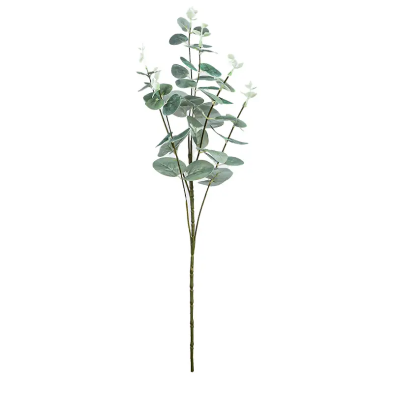 Daun Silver Dollar Cabang 6