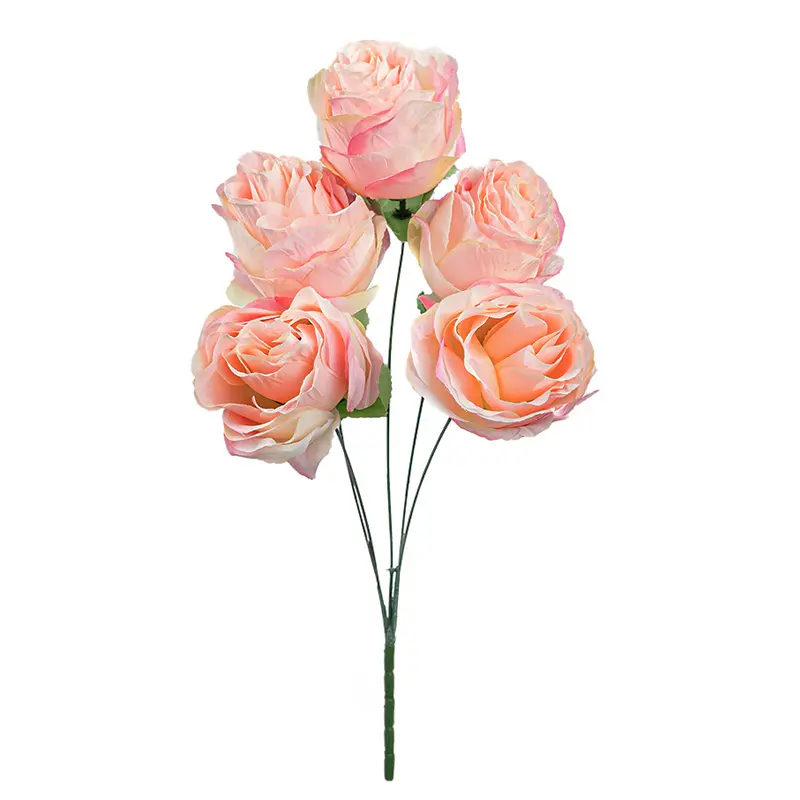 Rose Avalene Pink Soft